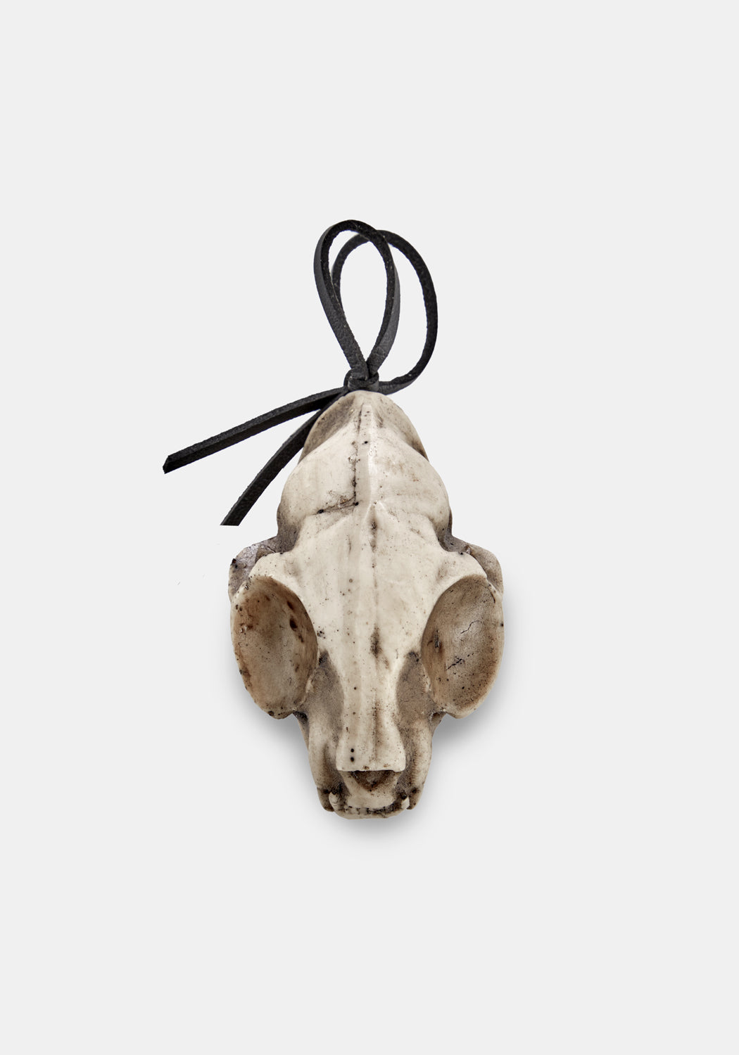 AM66_Cat-Skull-Offering_01